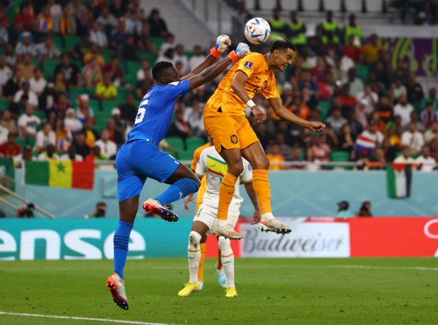 Senegal 0 Holland 2: Man Utd transfer target Cody Gakpo heads late goal as Dutch win World Cup opener