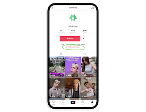 Make money with TikTok’s Profile kit feature with LinkTree