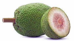 10 Massive Health Benefits of Breadfruit (Ukwa)