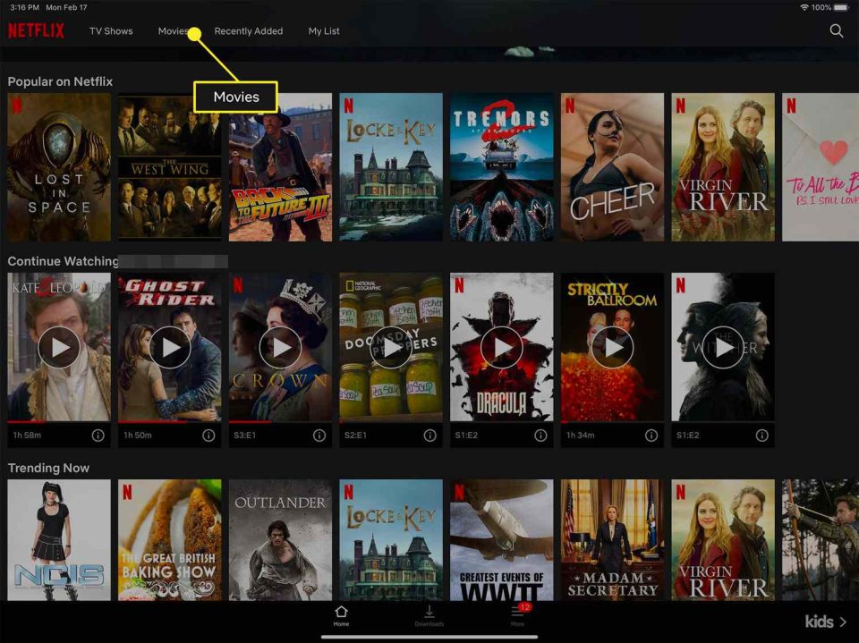 How To Download Movies From Netflix