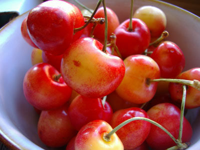Health Benefits of Rainier Cherries